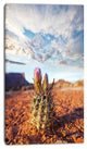 Large Cactus under Cloudy Sky, Floral Canvas Art Print, 16"x32"