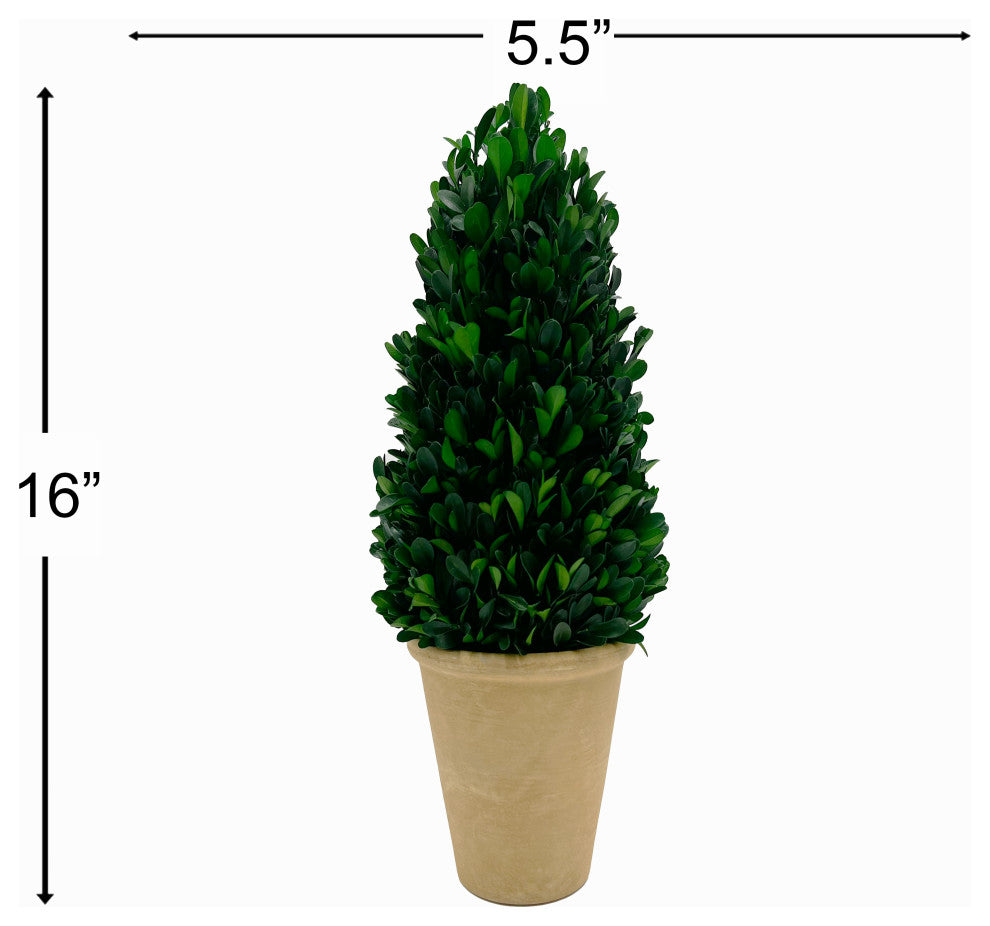 Infographic with overlaid measurements (5.5"" width, 16"" height).