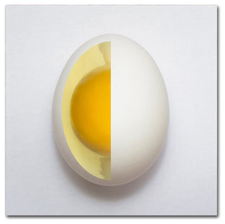 Adelino Alves 'Inner Egg' Canvas Art, 18 x 18