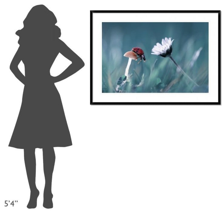 The Story Of The Lady Bug, 42"x30"