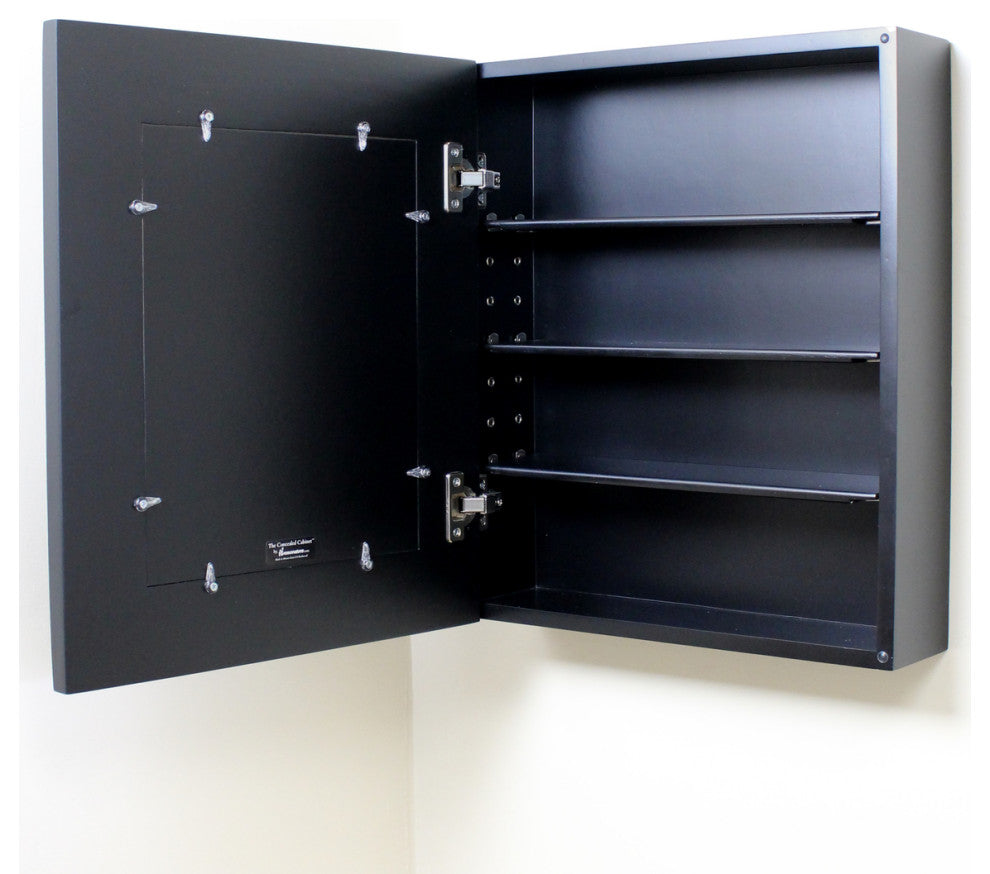 Wall Mount Mirrored Medicine Cabinet, Black