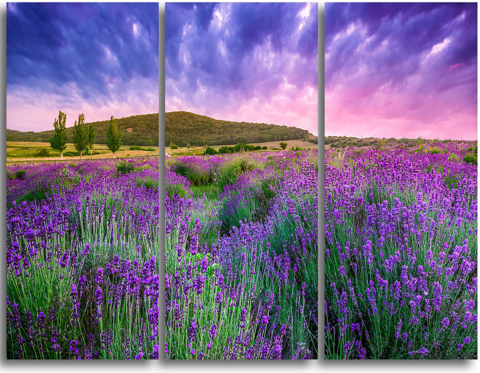 "Summer Lavender Field in Tihany" Metal Wall Art, 3 Panels, 36"x28"