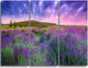 "Summer Lavender Field in Tihany" Metal Wall Art, 3 Panels, 36"x28"
