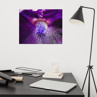 Eye of Iris Nature Photography, Floral Unframed Wall Art Print, 16" X 20"
