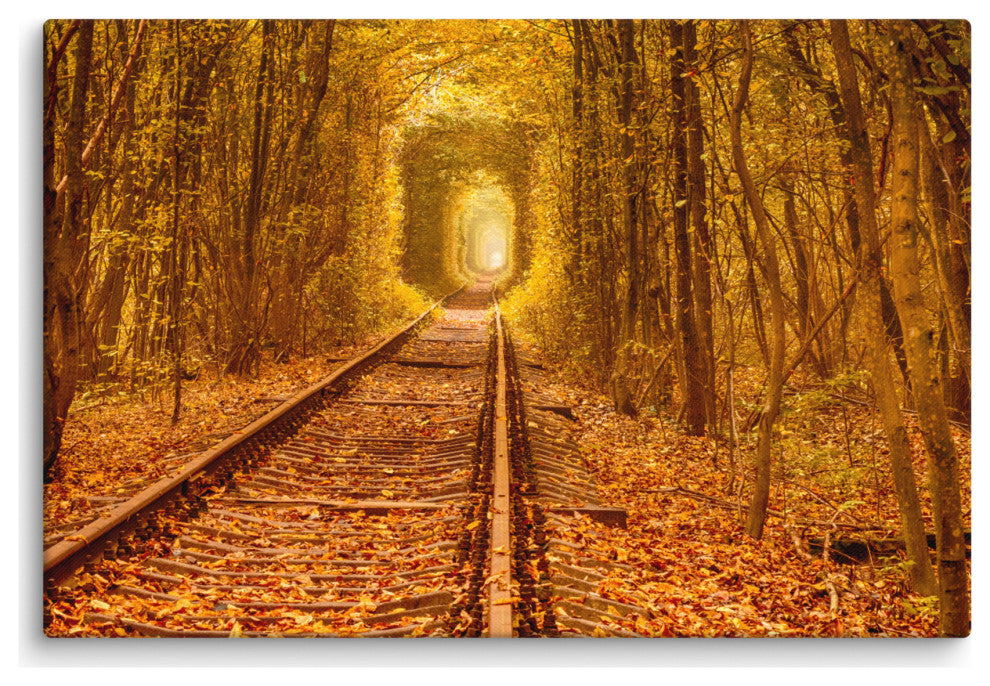 Ukraine Forest Railway Tunnel of Love Landscape Photo Canvas Wall Art Print, 24" X 36"
