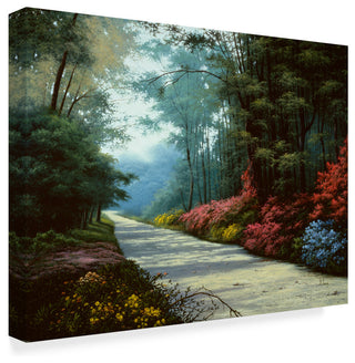 "Garden Path" by Anthony Casay, Canvas Art, 19"x14"