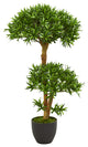 3'' Bonsai Styled Podocarpus Artificial Tree