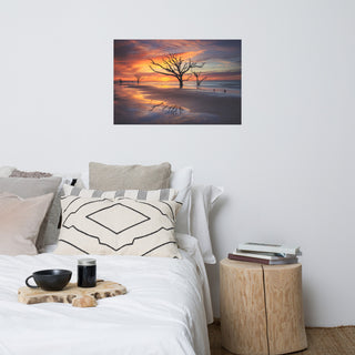 Sunrise and Trees At Edisto Island Coastal Landscape Photo Loose Wall Art Print, 24" X 36"