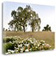 "Oak Tree - 94" By Alan Blaustein, Giclee Print on Gallery Wrap Canvas