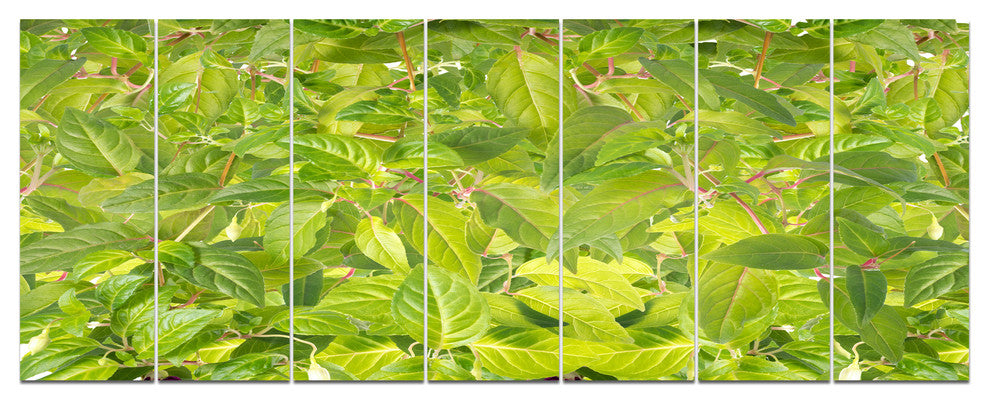 Bright Fuchsia Green Foliage, Floral Canvas Art Print, 83"x32", 7 Panels