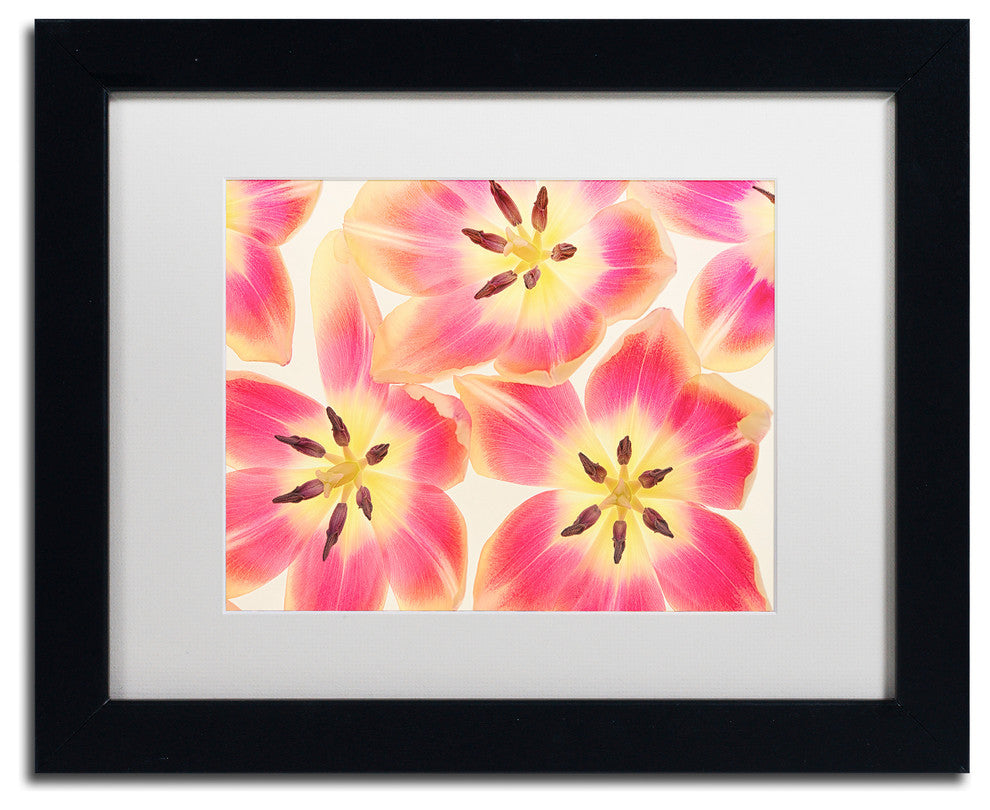 Cora Niele 'Cerise and Yellow Tulips' Matted Framed Art