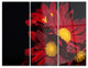 "Red Velvet Chrysanthemum Flowers" Metal Wall Art, 3 Panels, 36"x28"