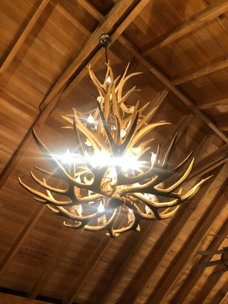 Mule Deer Tall Spruce Antler Chandelier Light, Extra Large, No Shades