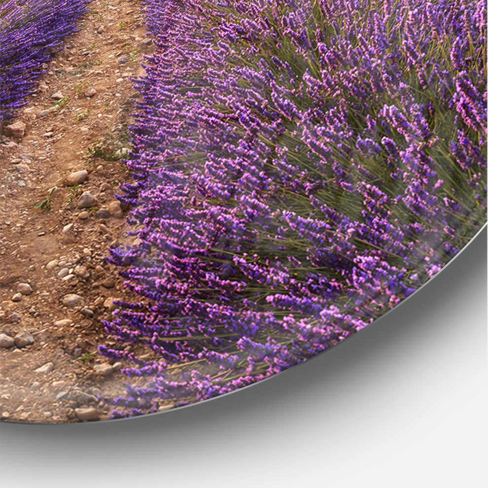 Lavender Field in Provence France Traditional Metal Clock, 36x36