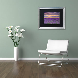 Blanchette Photography 'Lavender Sunbeams', Silver Frame, Black Matte, 14"x11"