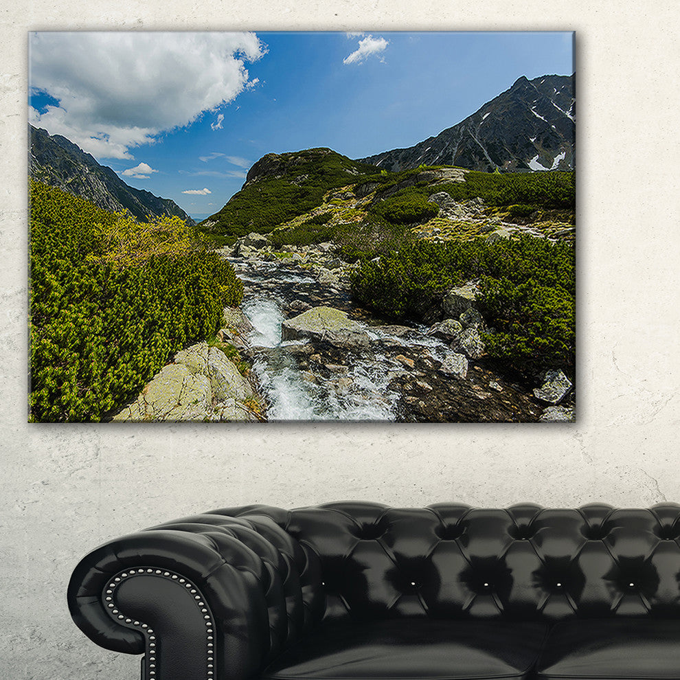 "Alpine Stream in High Mountains" Canvas Print