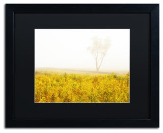 PIPA Fine Art 'Dreams of Goldenrod and Fog' Matted Framed Art, 20x16