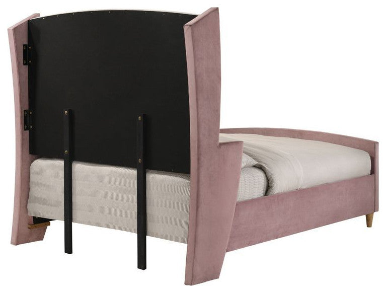 ACME Salonia Queen Bed, Pink Velvet