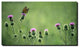 'Monarch Thistles' Canvas Art by Kurt Shaffer