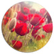 Poppy Flowers Meadow In Sunlight, Flower Round Wall Art, 36"
