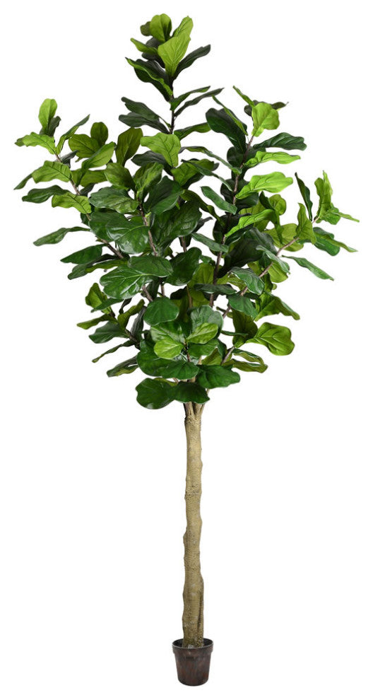 Vickerman 10' Potted Fiddle Tree 184Lvs, Tb180299