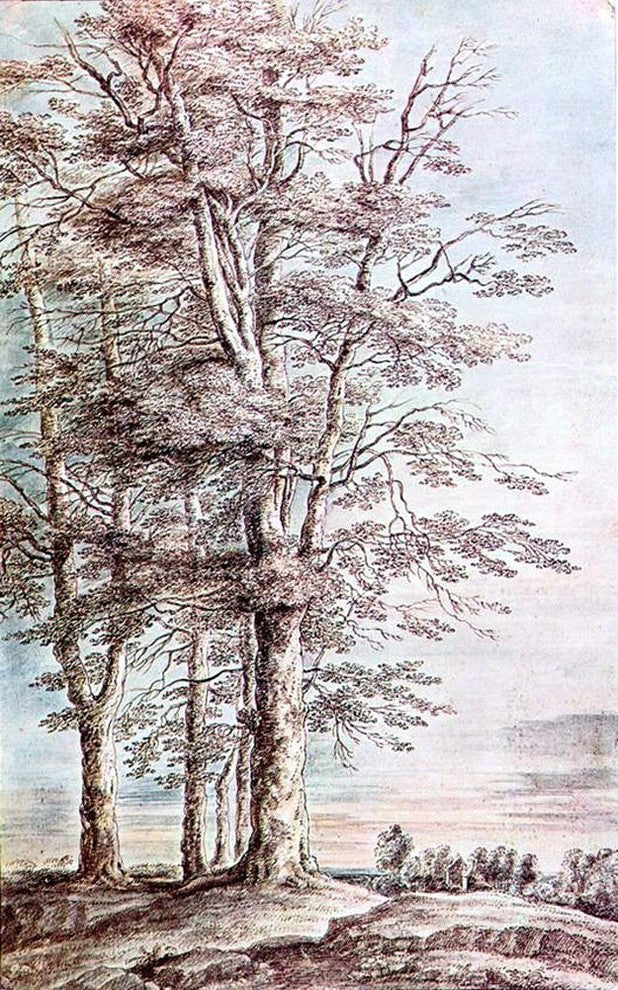 Lucas Van Uden Landscape With Tall Trees Wall Decal