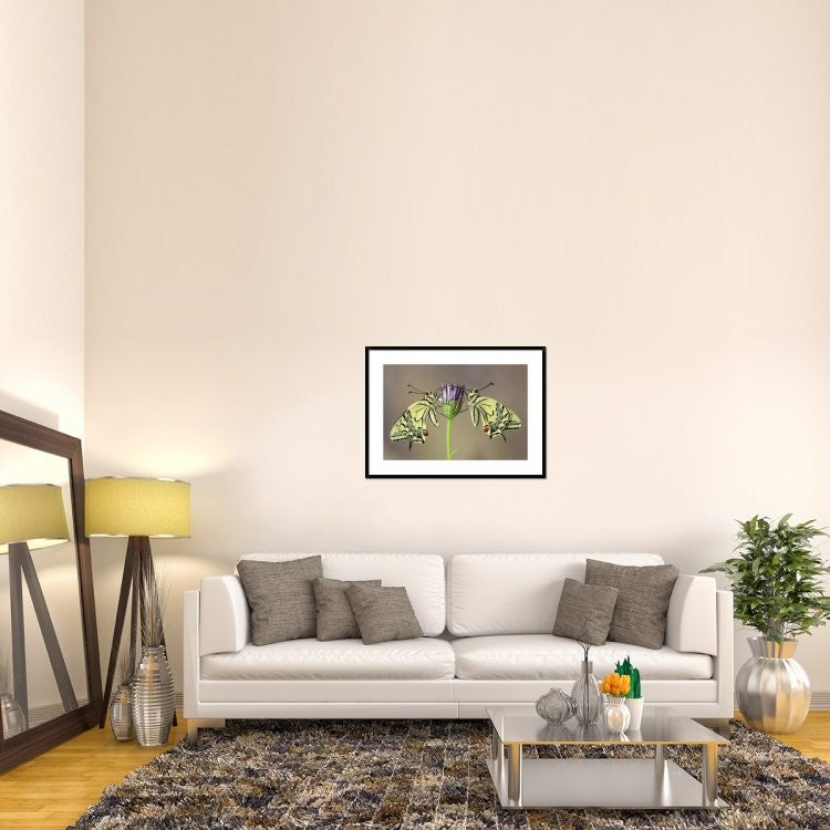 "Symmetry" Framed Digital Print by Jimmy Hoffman, 38"x28"