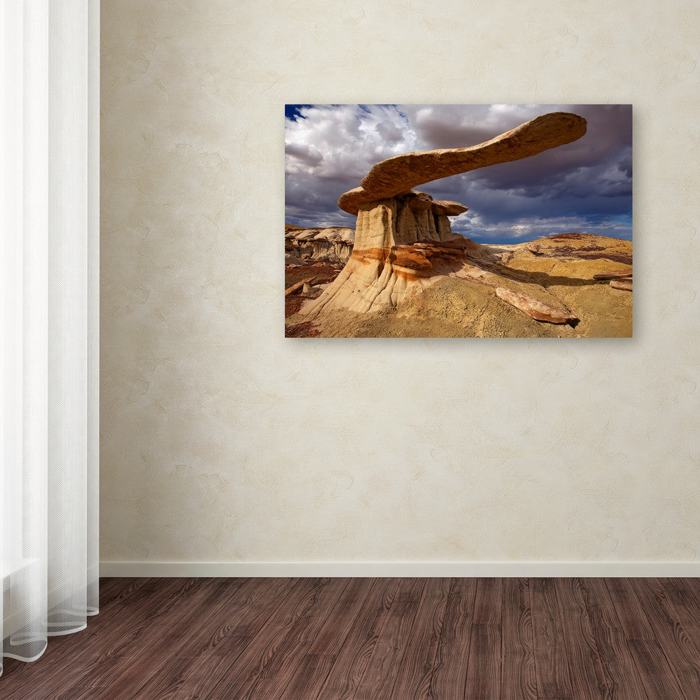 Mike Jones Photo 'NM Ah-shi-sle-pah King Of Wings' Canvas Art, 30x47