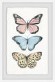 "Butterfly Trio" Framed Painting Print, 20"x30"