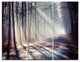 "Morning Sunbeams to Forest Road" Photo Metal Wall Art, 3 Panels, 36"x28"
