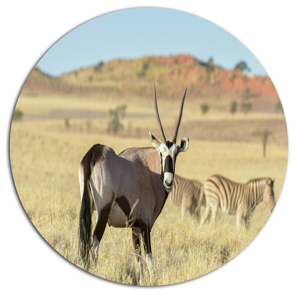 Wildlife In Namibia Grassland, African Round Metal Wall Art, 23"