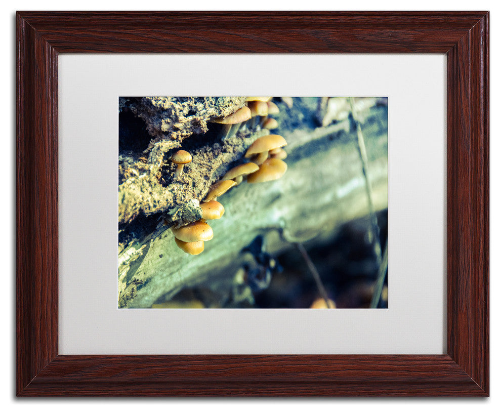 PIPA Fine Art 'Aged Mushroom' Matted Framed Art, 14x11