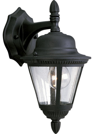 Progress Lighting 1-Light Wall Lantern With Clear Seeded Glass, Black