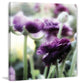 "Floral Melody II" Painting Print on Canvas by Irena Orlov