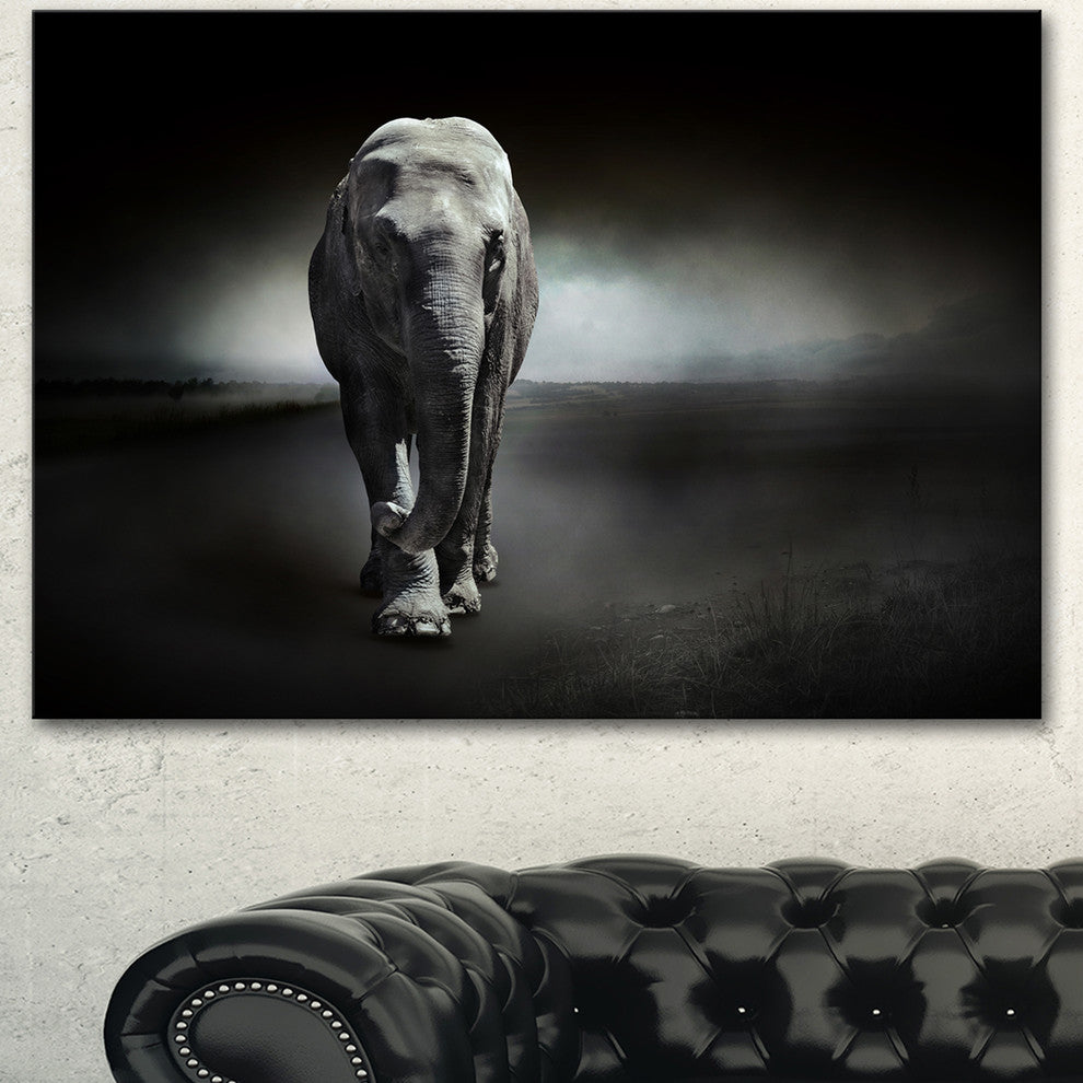 Large Elephant on Black, Animal Canvas Wall Art, 40"x30"