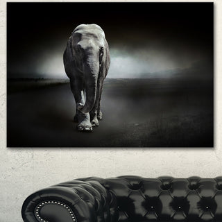 Large Elephant on Black, Animal Canvas Wall Art, 40"x30"