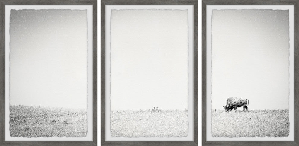 A Lone Bison Triptych, Set of 3, 20x30 Panels