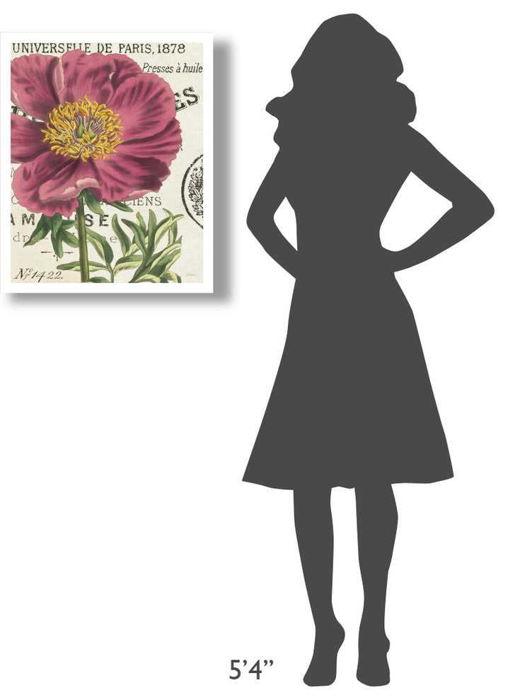"Peony Botany" Digital Paper Print by Sue Schlabach, 22"x26"