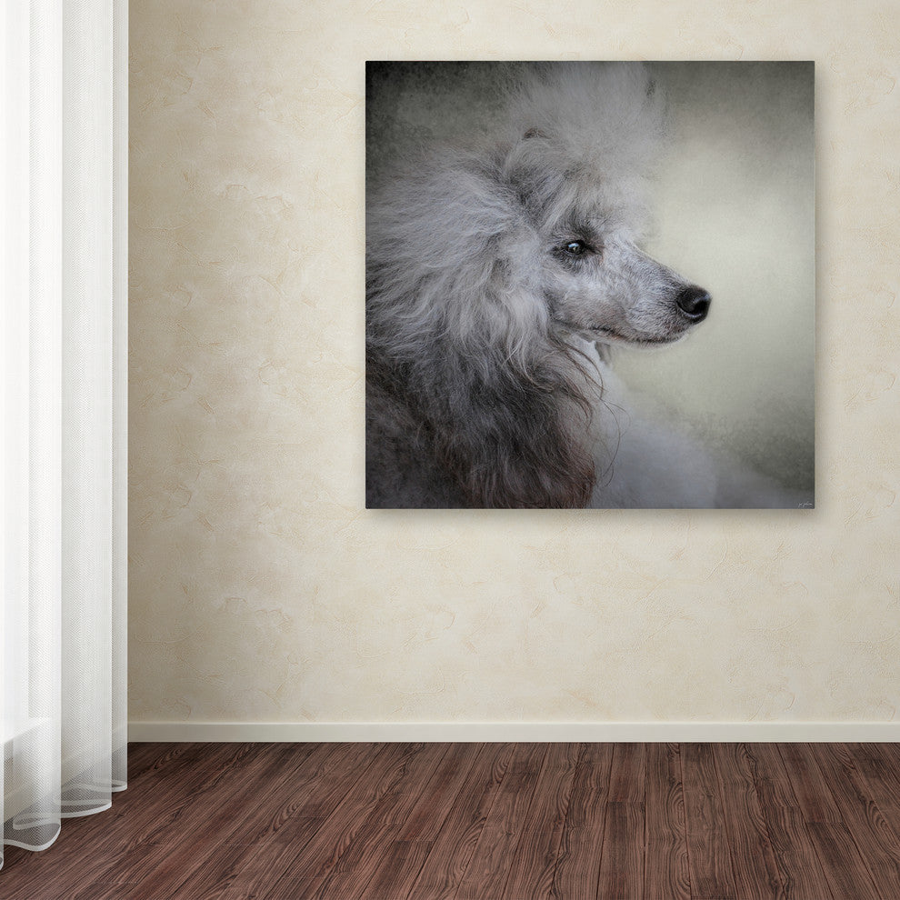 Jai Johnson 'Longing Silver Standard Poodle' Canvas Art, 35 x 35