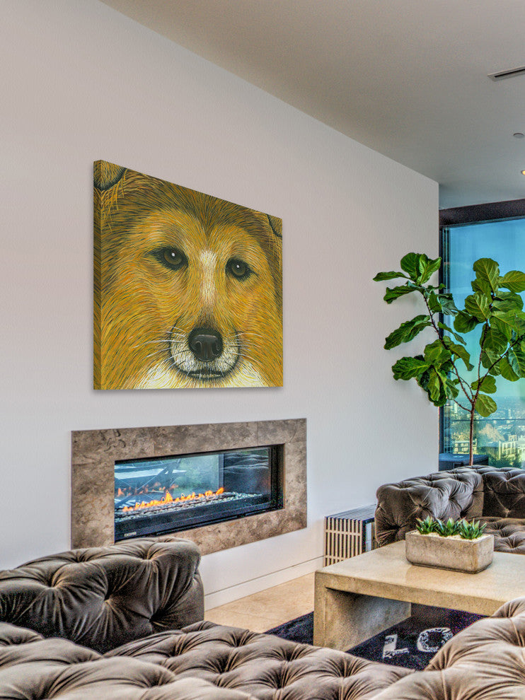 "Border Collie" Painting Print on Wrapped Canvas, 40"x40"