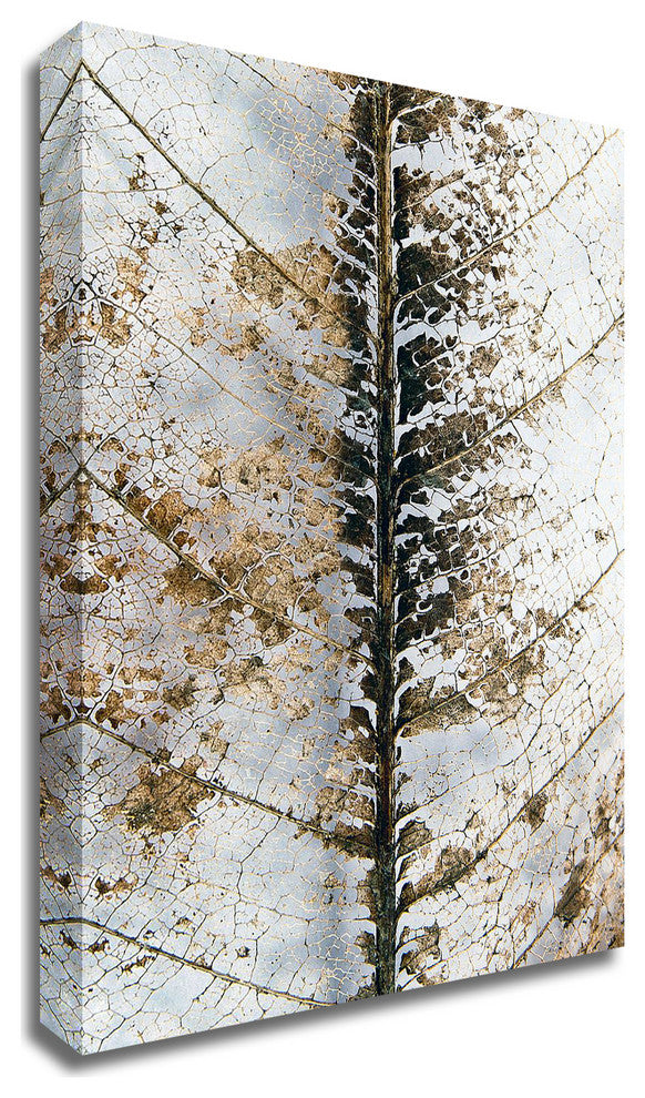 Close Up by Design Fabrikken, Print on Canvas, 30"x42"