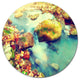 Mountain River With Stones, Seashore Round Wall Art, 23"