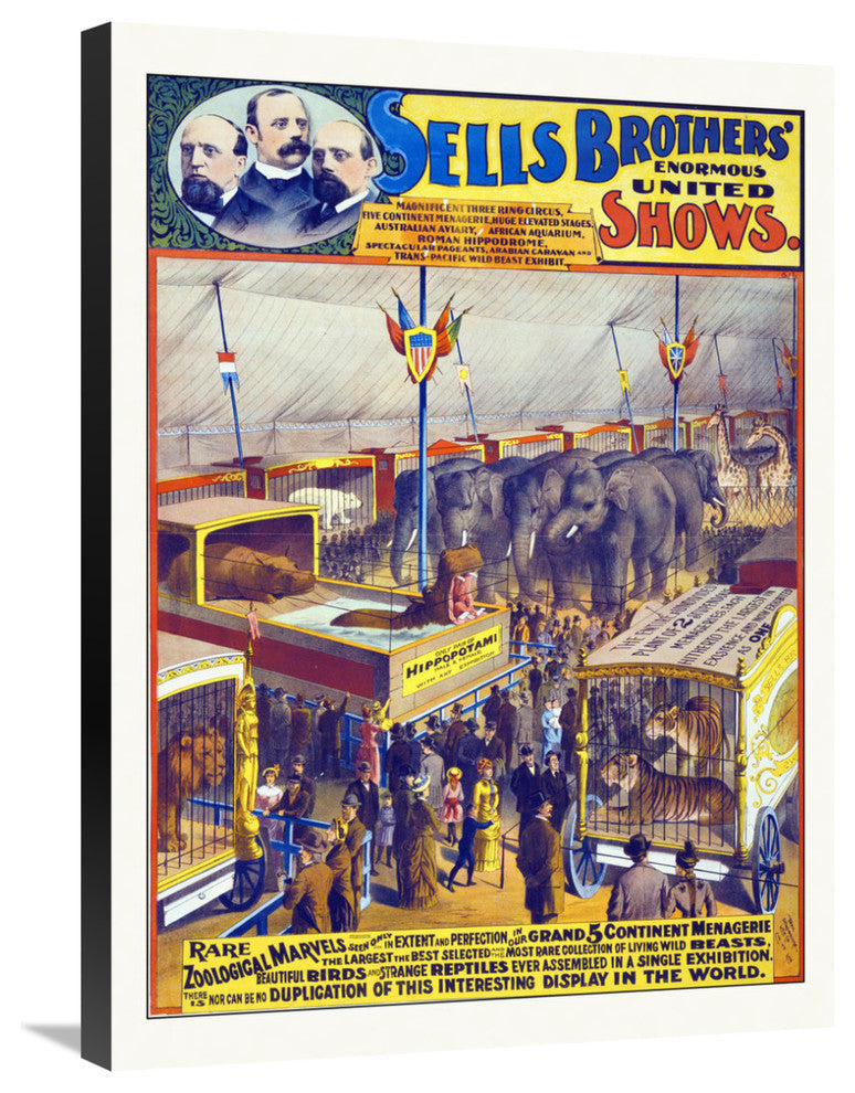 Sells Brothers' Enormous United Shows,, Rare Zoological Marvels, 1895, 22x30
