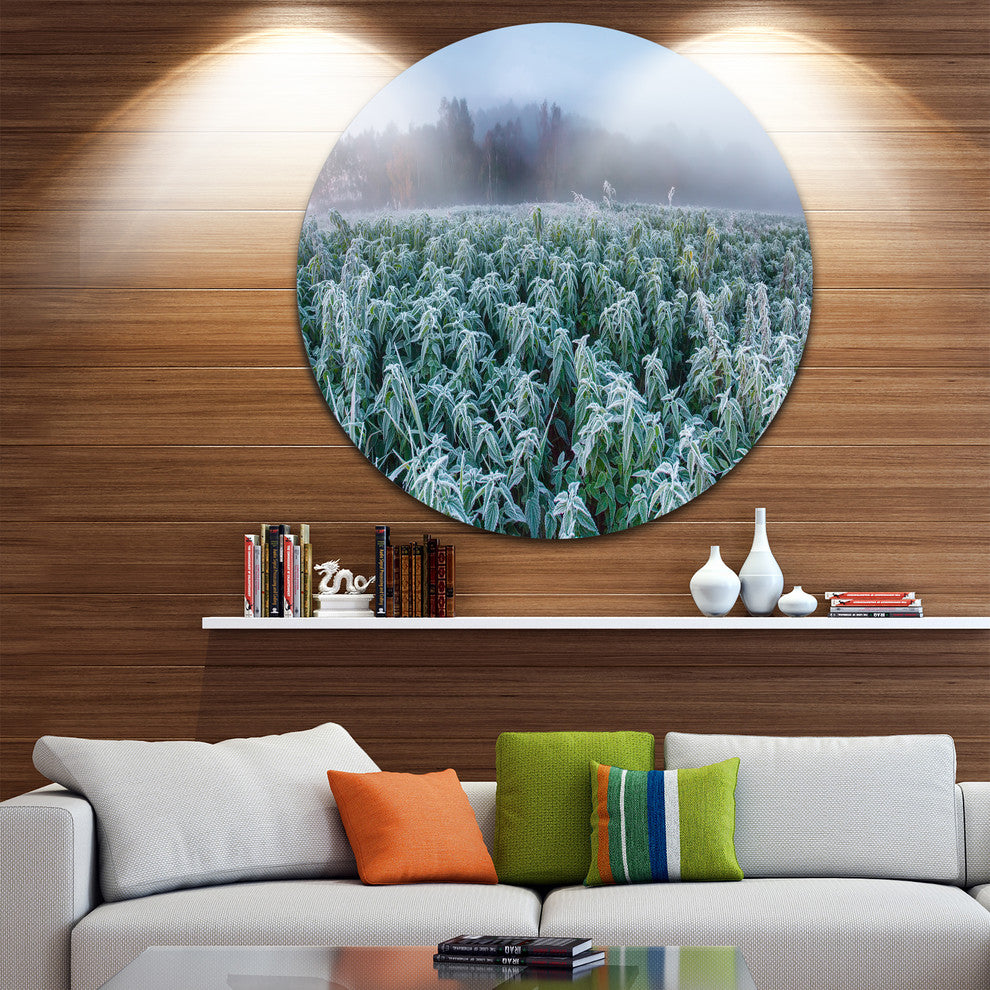 Frozen Hemp Field In Autumn Morning, Landscape Round Metal Artwork, 23"