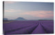 "Lavender Field" Stretched Canvas Giclee by Rostovskiy Anton, 18x12"