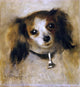 Pierre Auguste Renoir Head of a Dog - 20" x 20" Premium Canvas Print