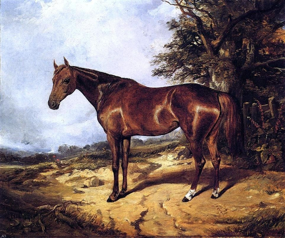 Arthur Fitzwilliam Tait Thoroughbred, 20"x25" Wall Decal