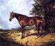 Arthur Fitzwilliam Tait Thoroughbred, 20"x25" Wall Decal
