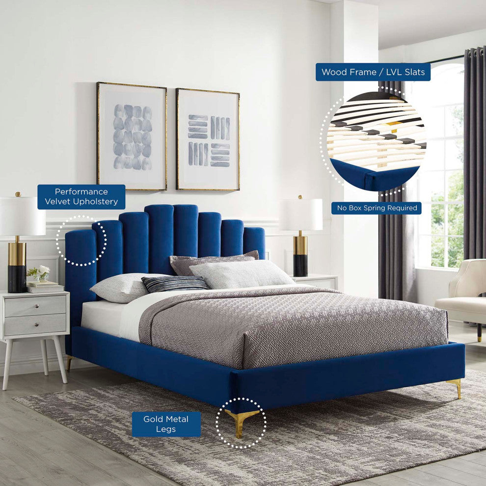 Platform Bed Frame, Queen Size, Velvet, Blue Navy, Modern Contemporary, Bedroom