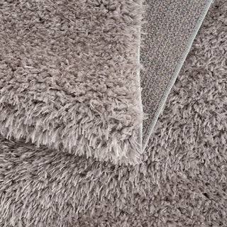 Gewnee Camdyn Super Soft Polyester Shag Area Rug, 4'x6'